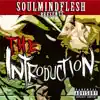 Kurtanz & Just L - SoulMindFlesh Presents: The Introduction